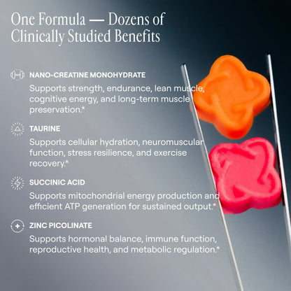 creatine monohydrate - Home Haven