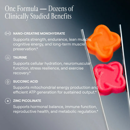 creatine monohydrate - Home Haven
